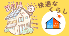 『C値の必要性』を考えます